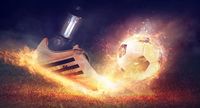 Betwinner - 33686 селекции Betwinner - 2556 селекции