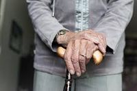 грижа за възрастни хора - 93226 новини грижа за възрастни хора - 92230 новини