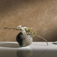 декоративни бои и мазилки - 68848 селекции декоративни бои и мазилки - 52898 селекции