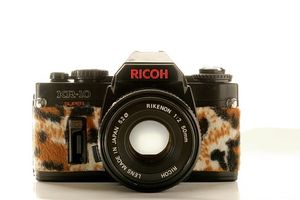 фото студио София - 29431 награди