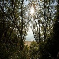 хотели с минерална вода - 49501 отстъпки