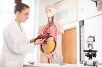 хранителни добавки - 31410 цени | Green Health Lab хранителни добавки - 87032 цени