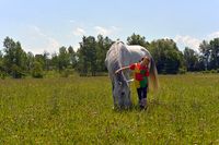 пипи дългото чорапче - 89463 селекции