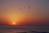 спа почивка - 40074 бестселъри