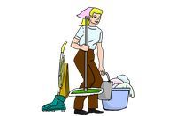 Domestic Cleaning - 71851 types