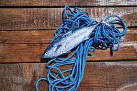 колаген - 77283 клиенти колаген - 1796 клиенти