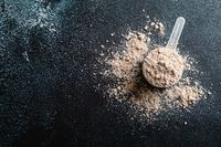 протеинов шоколад - 18078 варианти | Activechoice протеинов шоколад - 26279 варианти