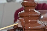 протеинов шоколад - 6725 новини протеинов шоколад - 13429 новини