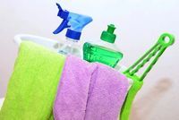 Regular Domestic Cleaning - 51000 achievements