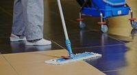 Regular Domestic Cleaning - 59051 bestsellers