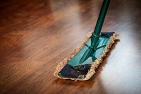 Regular Domestic Cleaning - 43306 opportunities