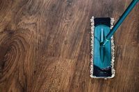 Regular Domestic Cleaning - 50702 discounts