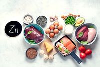 цинк - 47977 бестселъри цинк - 97050 бестселъри