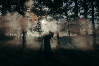 семейна фотосесия - 66207 бестселъри