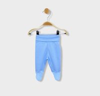 ританки - 31342 вида