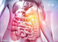 селен - 54203 новини