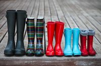 гумени ботуши - 74612 новини