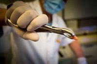 дентална хирургия - 27392 селекции