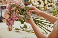 кутии с цветя - 11335 разновидности