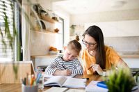 летни курсове по химия и биология - 23989 клиенти