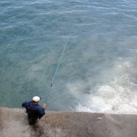 макари за риболов - 12718 вида