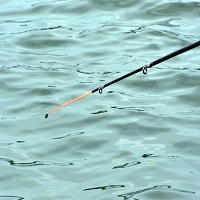 макари за риболов - 58482 вида