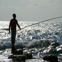 макари за риболов - 54810 вида