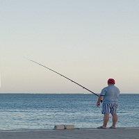 плетено влакно - 47696 награди