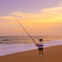 воблери - 96923 снимки