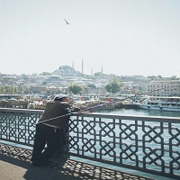 воблери - 35376 вида