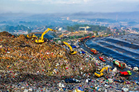 почистване на биологичен отпадък - 36855 почистени