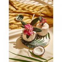 чинии - 25012 вида