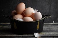 тенджери - 75074 разновидности