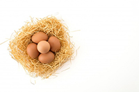 яйчен меланж - 30910 предложения