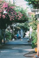 екскурзия Колумбия - 64044 възможности