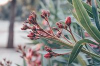 екскурзия Колумбия - 66115 отстъпки