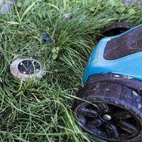 идеи за градина - 99668 промоции