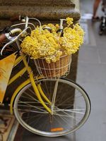 колела Cross - 59049 оферти