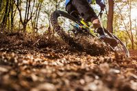 магазин за велосипеди - 92953 варианти