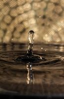 капиляри - 7637 снимки