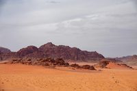 екскурзия до Йордания - 93228 разновидности