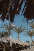 почивки в Хургада - 83768 цени