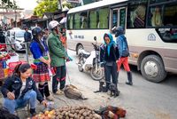 групажни превози - 39483 промоции