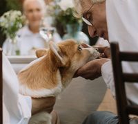 Кинологии - 47886 снимки