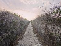 Лозарства - 55328 промоции