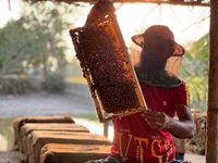 пчеларства - 44357 бестселъри