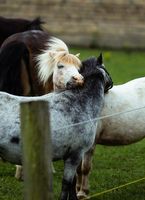 животновъдства - 64273 типа