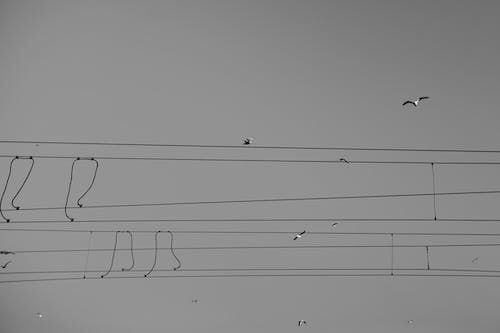 кабели силови за прехвърляне на ток - 9902 типа