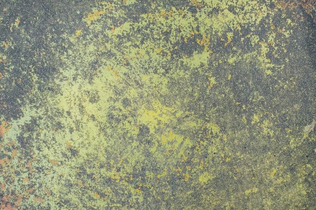 шпакловане цени - 92115 вида | Боядисване ЕООД шпакловане цени - 15390 вида