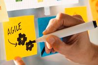 Project Management - 13717 prices Project Management - 58164 prices